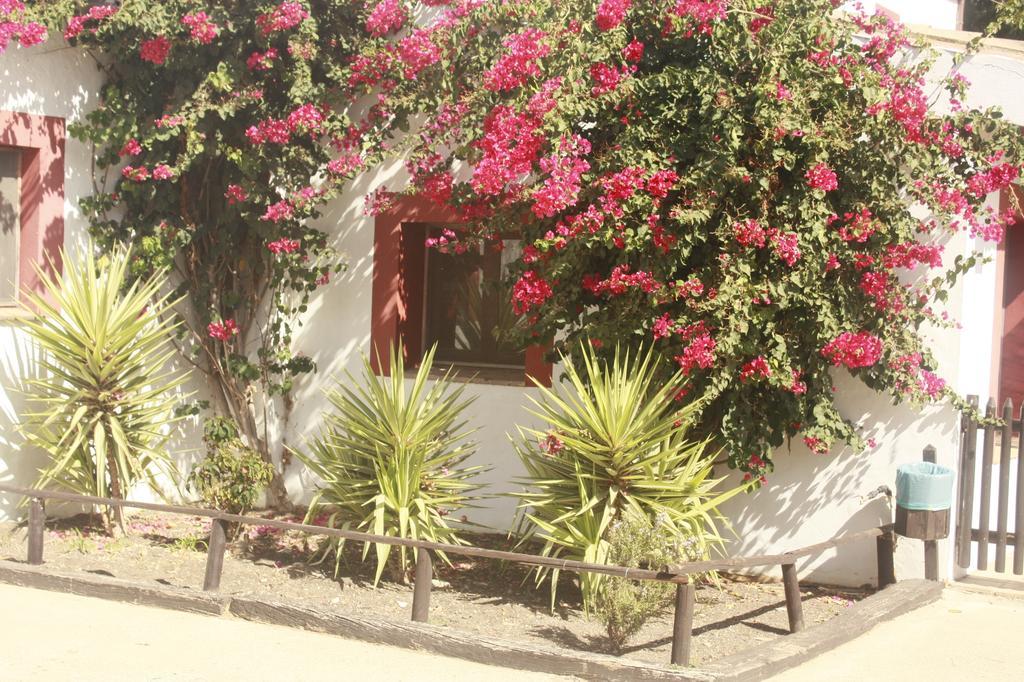 Molino El Mastral Daire Tarifa Dış mekan fotoğraf