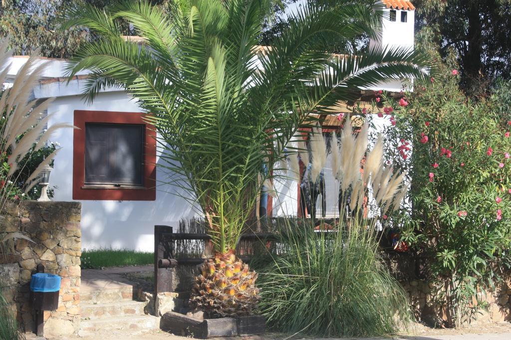 Molino El Mastral Daire Tarifa Dış mekan fotoğraf