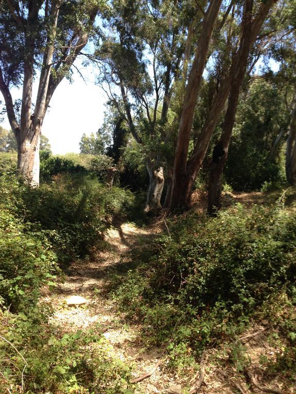 Molino El Mastral Daire Tarifa Dış mekan fotoğraf
